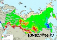 Риск возникновения лесных пожаров в Туве прогнозируют на июнь