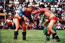 Ayas Mongush wrestling. Courtesy to goldf.ru