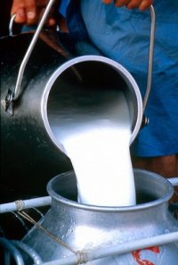 Минсельхоз России создает рабочую группу по тувинскому проекту детского молочного питания
