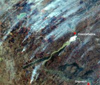 В Сибири действуют 43 очага лесных пожаров
