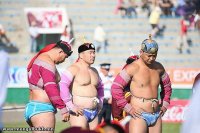 Competition of the strongest wrestlers of nomadic peoples of the world will take place in Tuva
