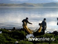 Власти Тувы считают необходимым увеличить квоты на вылов рыбы