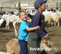 Козоводческое хозяйство из Бай-Тайги (Тува) - лучшее на межрегиональной выставке