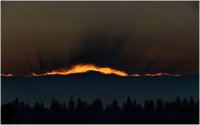 В Туве причиной лесного пожара стал удар молнии во время грозы