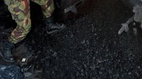 В Туве уничтожено 100 кг наркотиков
