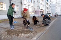 В Туве завершена осенняя посадка деревьев