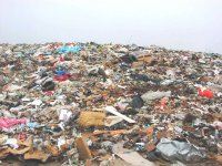 В Кызыле отменят плату за прием мусора на полигоне бытовых отходов