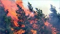 Жара, удары молнии, ветер – повышают уровень пожарной опасности в Туве
