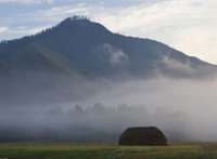 В Туве из-за продолжительной аномальной жары выгорели многие кормовые угодья