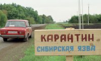 Тува введёт предупредительные меры в связи со вспышкой сибирской язвы на Алтае