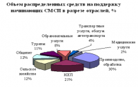 Гранты малому бизнесу Тувы помогли поднять собственное дело 80 % их получателей