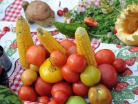 Чудо-овощи и цветочные композиции – на главной площади Тувы