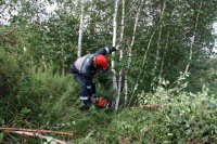 Энергетики расчищают трассу линии электропередач Абаза-Ак-Довурак