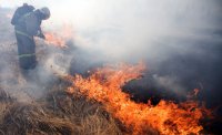Тушение лесного пожара в Тандинском районе Тувы осложняет сильный ветер