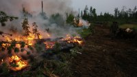 Все природные пожары в Туве, где горело 70 га леса, ликвидированы