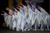 Детская хореографическая школа Кызыла обрела "автономный" статус и Наблюдательный совет