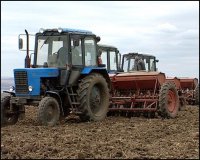 Полеводы Тувы готовятся засеять зерновыми на 18% больше площадей