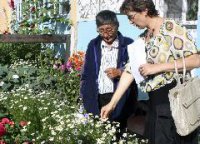 Неравнодушных кызылчан, благоустраивающих родной город, выявит конкурс "Цветущий Кызыл"