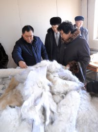 Спальный мешок и безрукавка из тувинской овчины made in Erzin