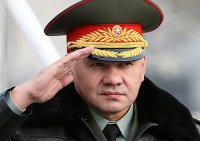 Министр обороны Шойгу возглавил наблюдательный совет ДОСААФ