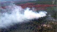 В Туве борются с 11 лесными пожарами