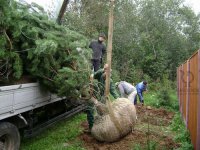 На Аллее поколений в Кызыле появились первые 100 саженцев