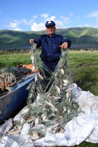 На озере Чагытай (Тува) за два дня обнаружено 23 браконьерских сети