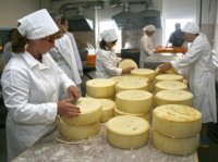 В Новосибирске пройдет фестиваль-ярмарка «Дни алтайского сыра»