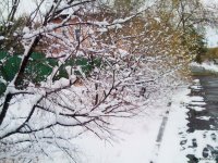В Тес-Хемском кожууне Тувы на дорогах первый снег