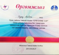 У тувинских гимнасток на Кубке Gym Shine в Монголии серебро и две бронзы