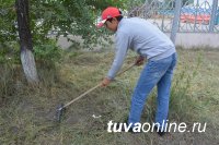 В борьбу с бурьяном в Кызыле включаются федеральные структуры