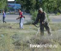 Кызыл: Улицу Колхозную очищают от  бурьяна волонтеры