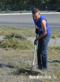 Кызыл: Улицу Колхозную очищают от  бурьяна волонтеры