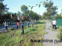 Кызыл: Улицу Колхозную очищают от  бурьяна волонтеры