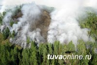 В Тоджинский кожуун Тувы, где наиболее сложная ситуация с лесными пожарами, вылетела оперативная группа МЧС России