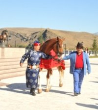 Тувинская лошадь «Визирь» впервые в истории конного спорта Тувы стала победителем на Всероссийских соревнованиях по троеборью