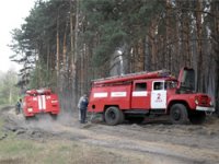 В Туве действуют 13 лесных пожаров