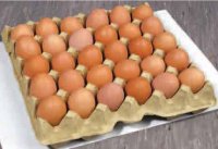 Россельхознадзор "задержал" на границе в Туве более 4000 куриных яиц, ввозимых в Монголию