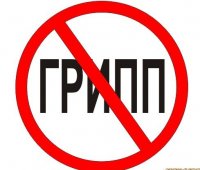 Роспотребнадзор провел анализ готовности Тувы к эпидсезону по гриппу и ОРВИ