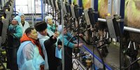 В Туве выстраивается сеть предприятий по приему и переработке молока