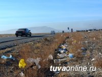 Накануне Дня Народного единства студенты очистили западный въезд в Кызыл от пластика и мусора