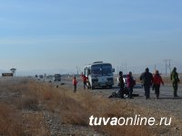 Накануне Дня Народного единства студенты очистили западный въезд в Кызыл от пластика и мусора