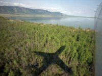 Тува находится на 11-м месте по количеству леса на душу населения
