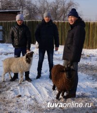 В ТувГУ проходят Дни Кожуунов