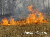 В Туве установилась жаркая погода, вводится особый режим посещения лесов