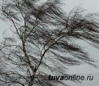 В Туве стоит сухая и очень ветренная погода