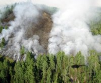 В Туве действуют три лесных пожара