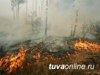 В Туве действуют четыре лесных пожара