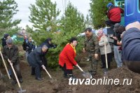 К 70-летию Победы главная площадь памяти в Туве пополнится 70 новыми деревьями