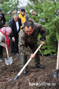 К 70-летию Победы главная площадь памяти в Туве пополнится 70 новыми деревьями